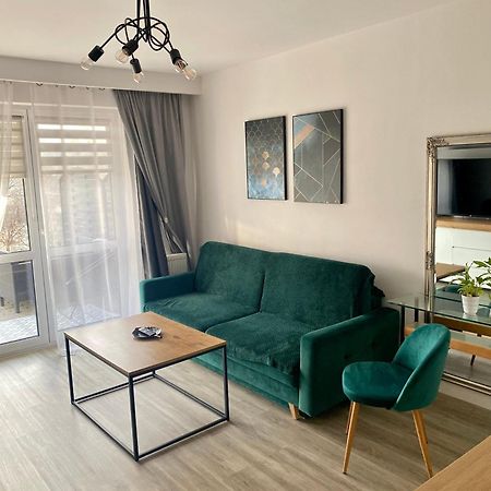 צ'שין Apartament Na Skrzypka מראה חיצוני תמונה
