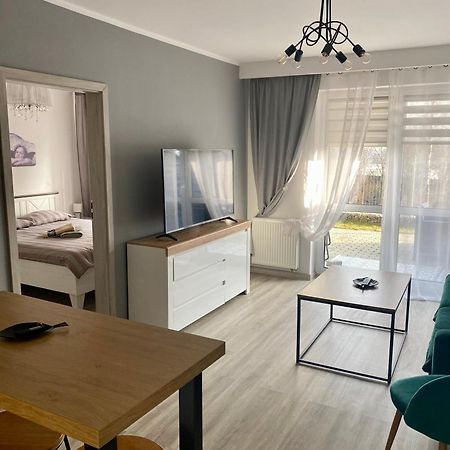 צ'שין Apartament Na Skrzypka מראה חיצוני תמונה
