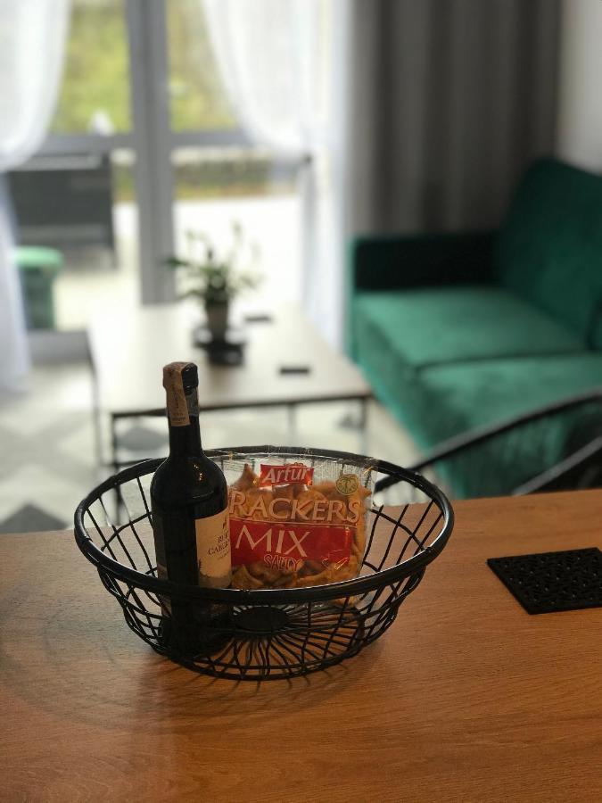 צ'שין Apartament Na Skrzypka מראה חיצוני תמונה
